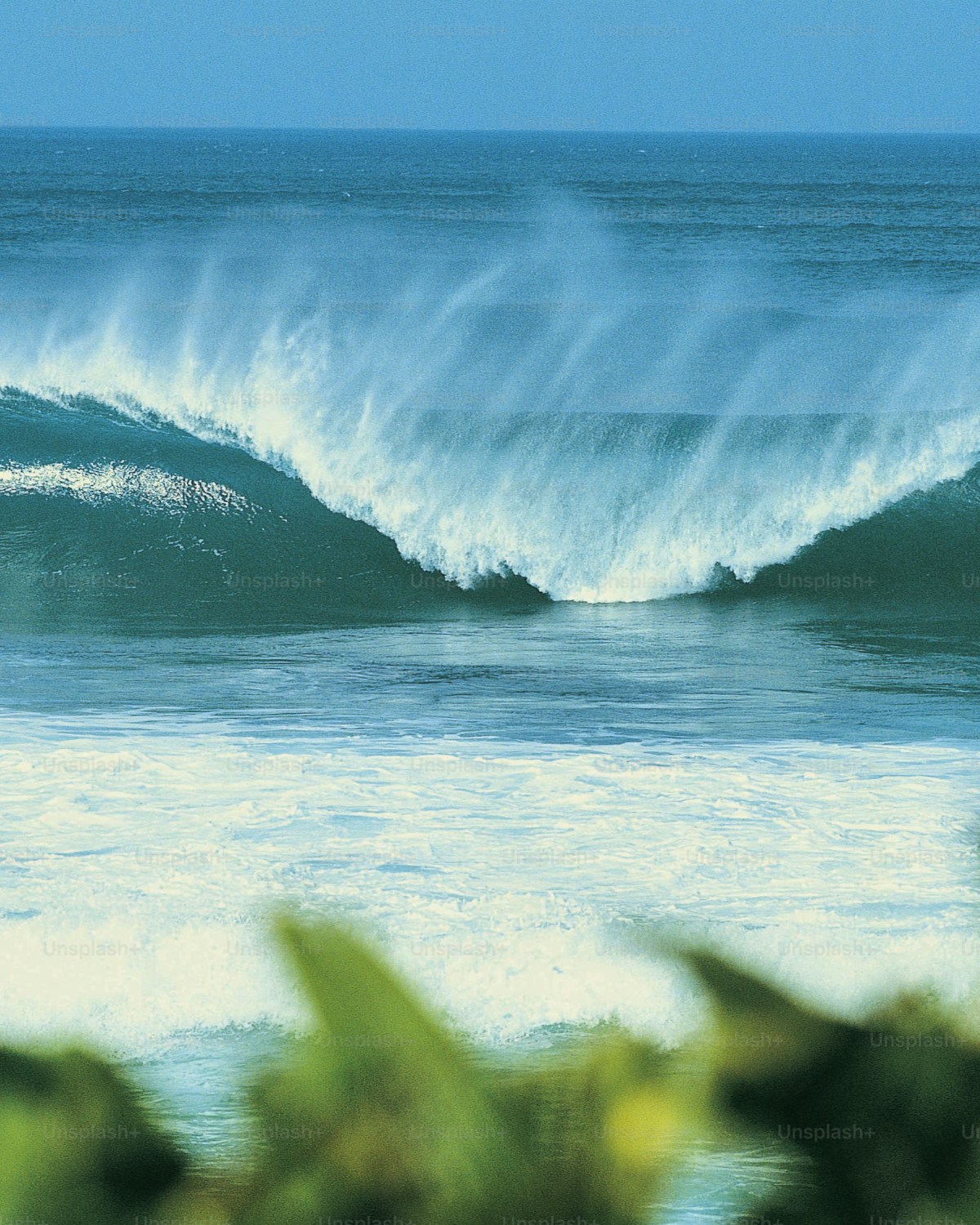 Surfing in North Male Atoll, Maldives — North Male Atoll surf coast, Maldives