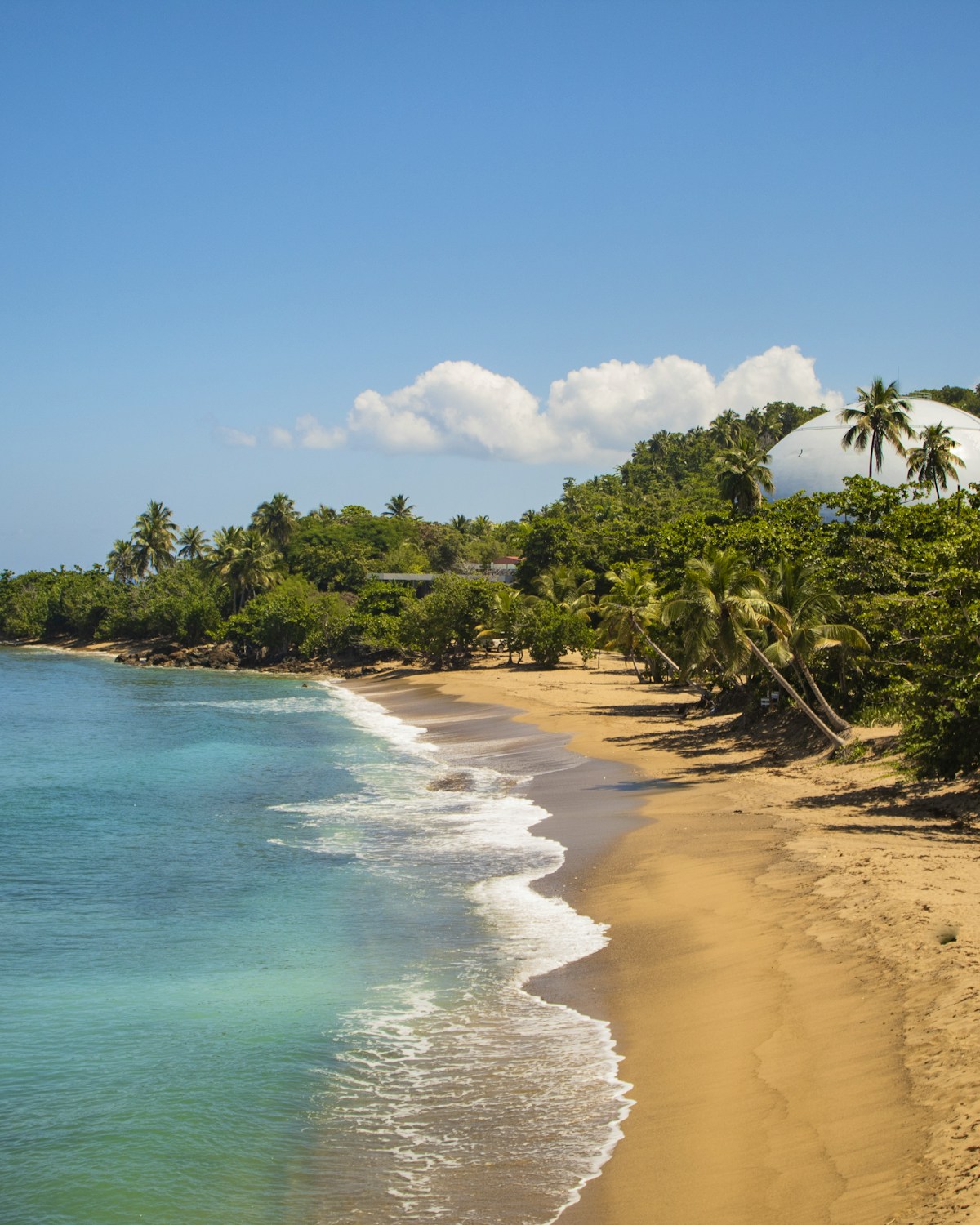 Surfing in Rincon, Puerto Rico — Rincón's Caribbean surf coast, Puerto Rico