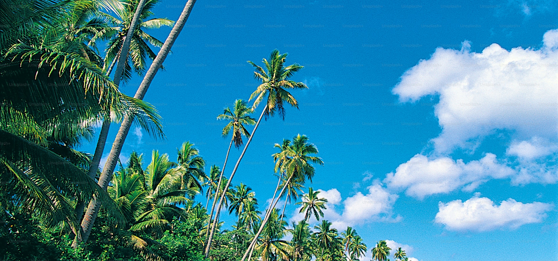Siargao, Philippines surfing destination — Siargao's tropical surf coast, Philippines