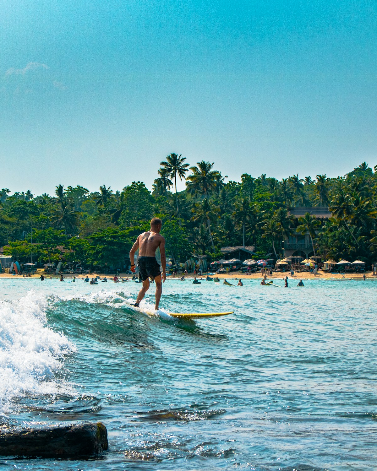 Surfing in Weligama, Sri Lanka — Weligama's beginner-friendly surf, Sri Lanka